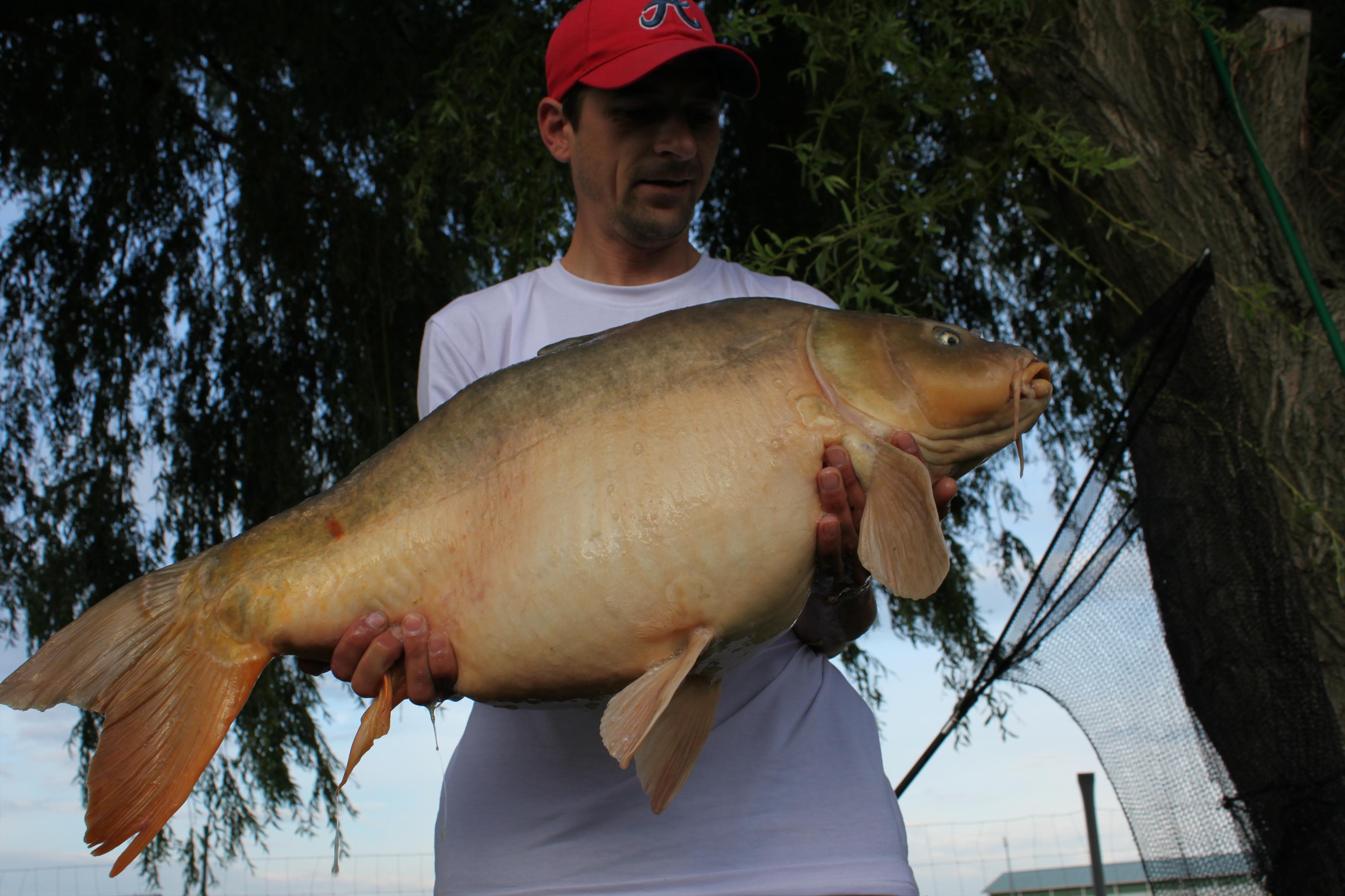 Capturi 2012 - IMG_0894.JPG